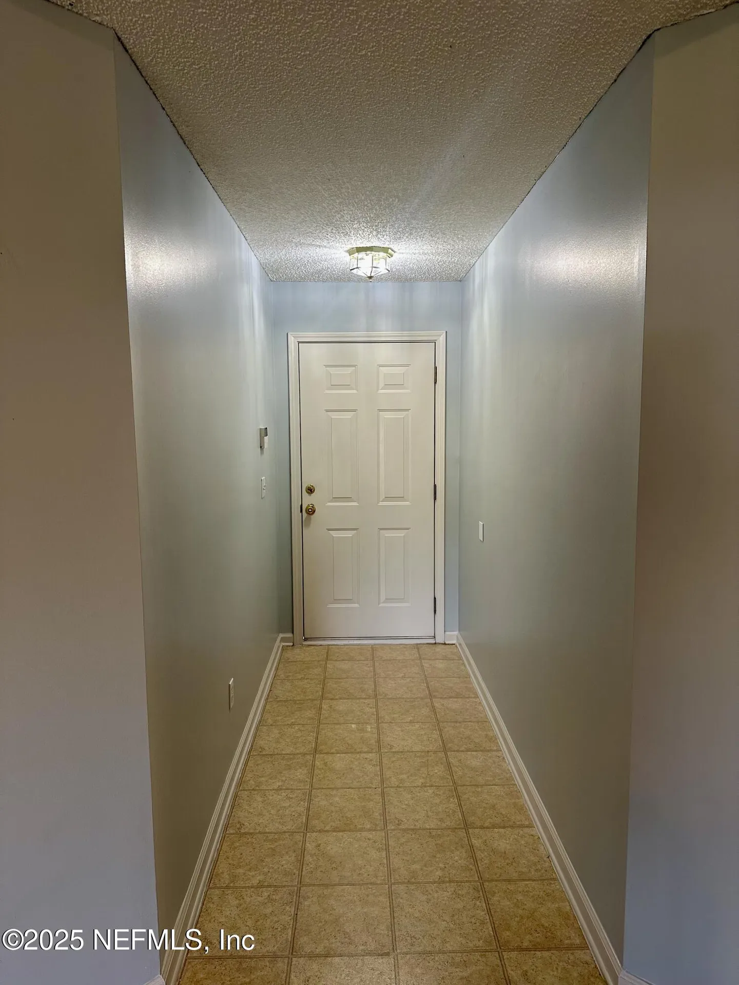 1715 Saw Lake Drive Middleburg FL 32068