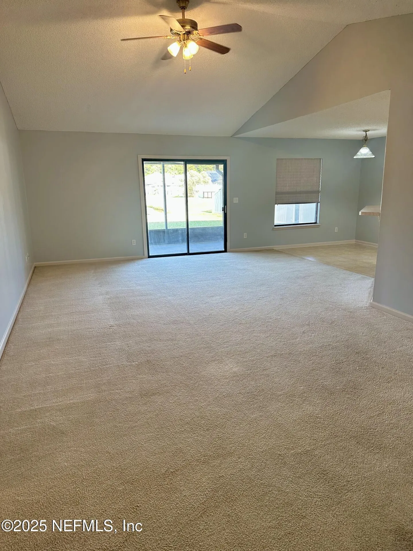 1715 Saw Lake Drive Middleburg FL 32068