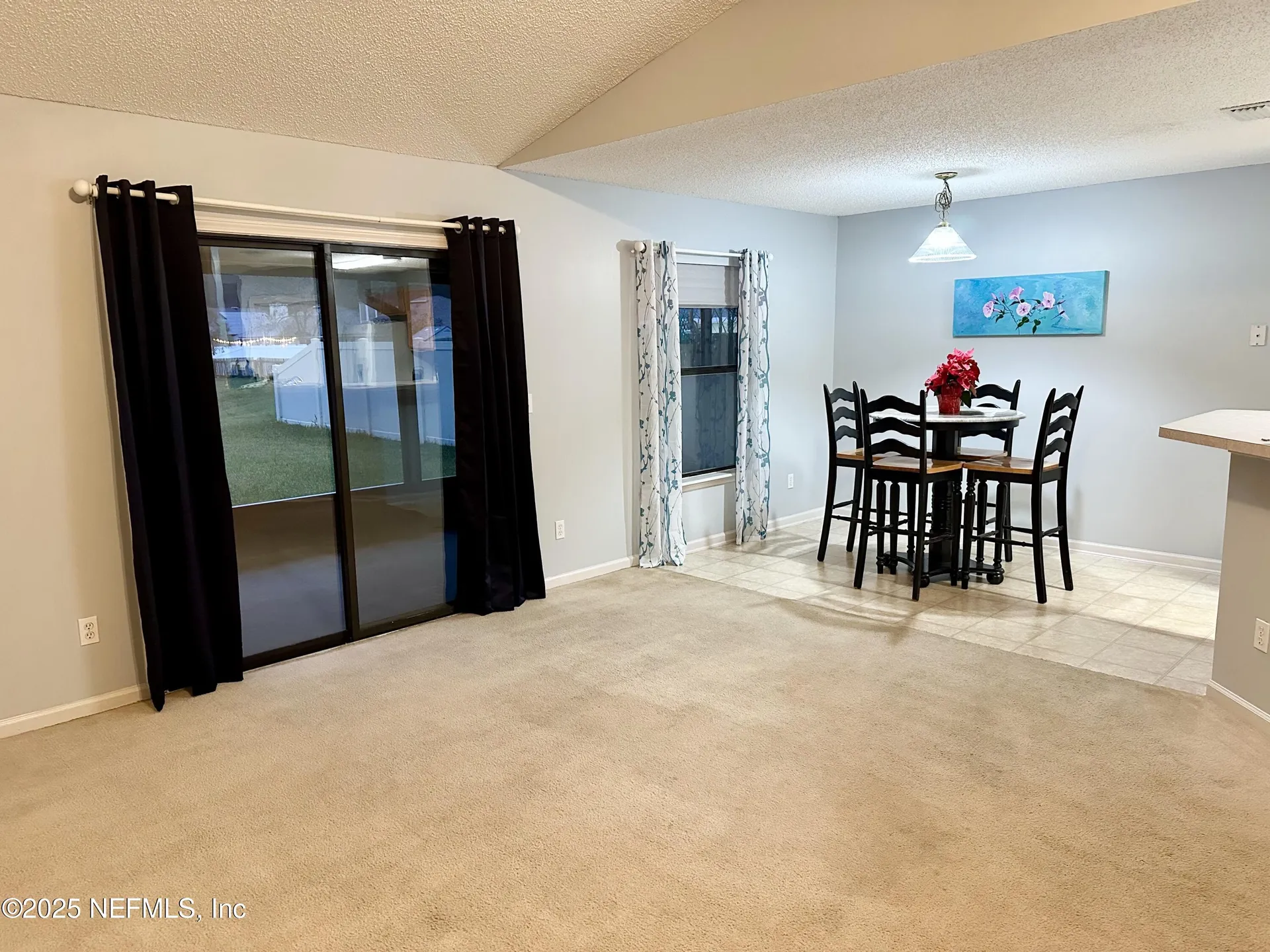 1715 Saw Lake Drive Middleburg FL 32068