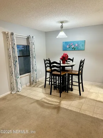 1715 Saw Lake Drive Middleburg FL 32068