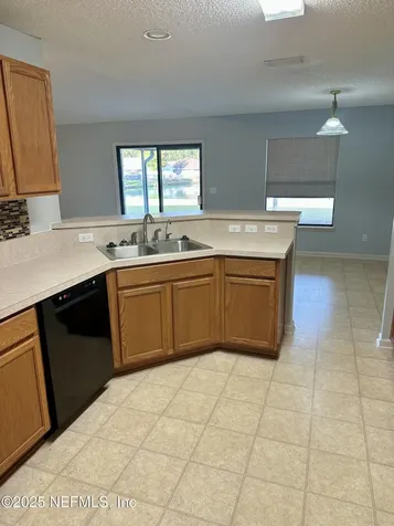 1715 Saw Lake Drive Middleburg FL 32068