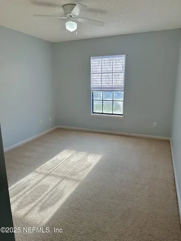 1715 Saw Lake Drive Middleburg FL 32068