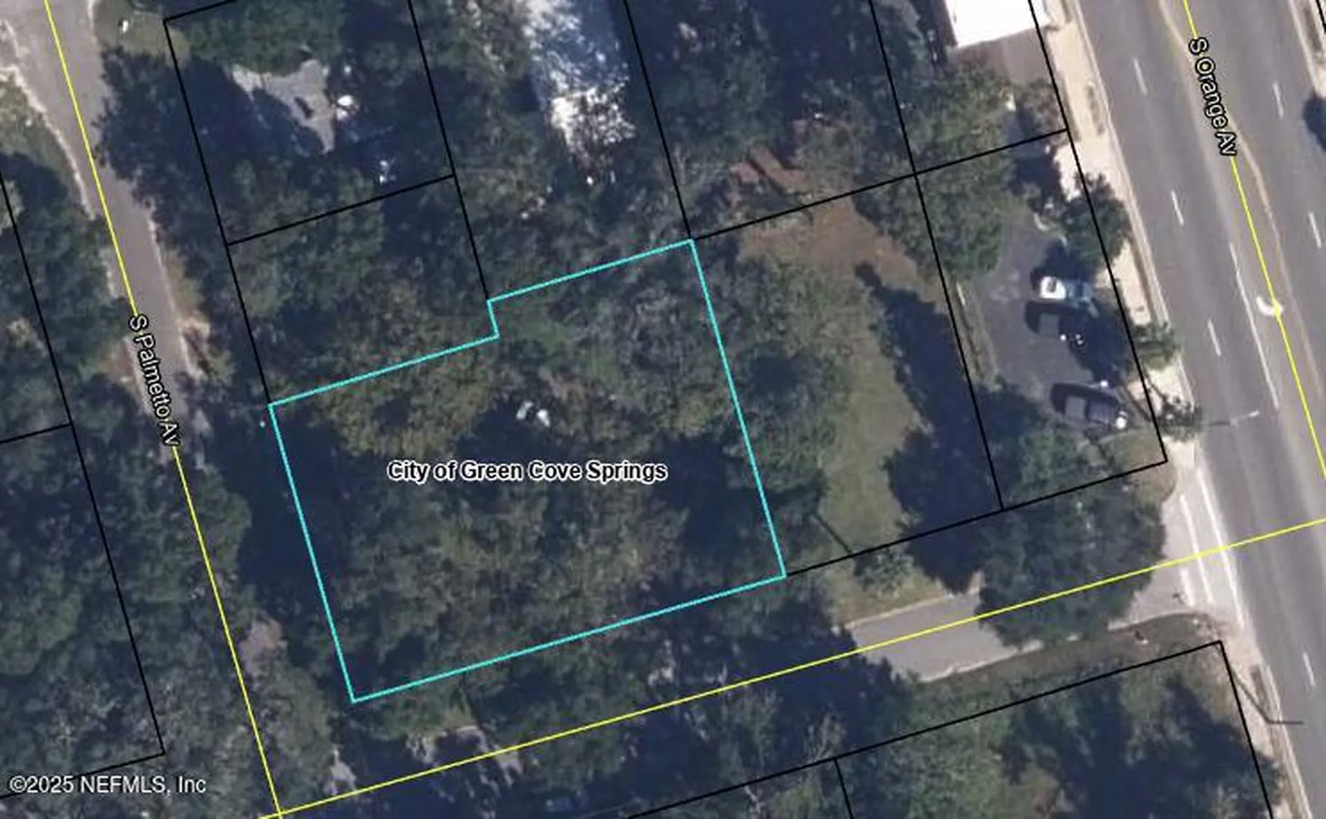 314 Palmetto Avenue Green Cove Springs FL 32043