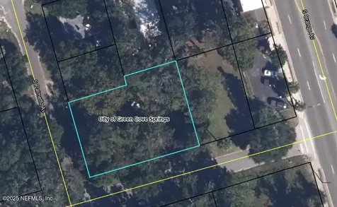 314 Palmetto Avenue Green Cove Springs FL 32043