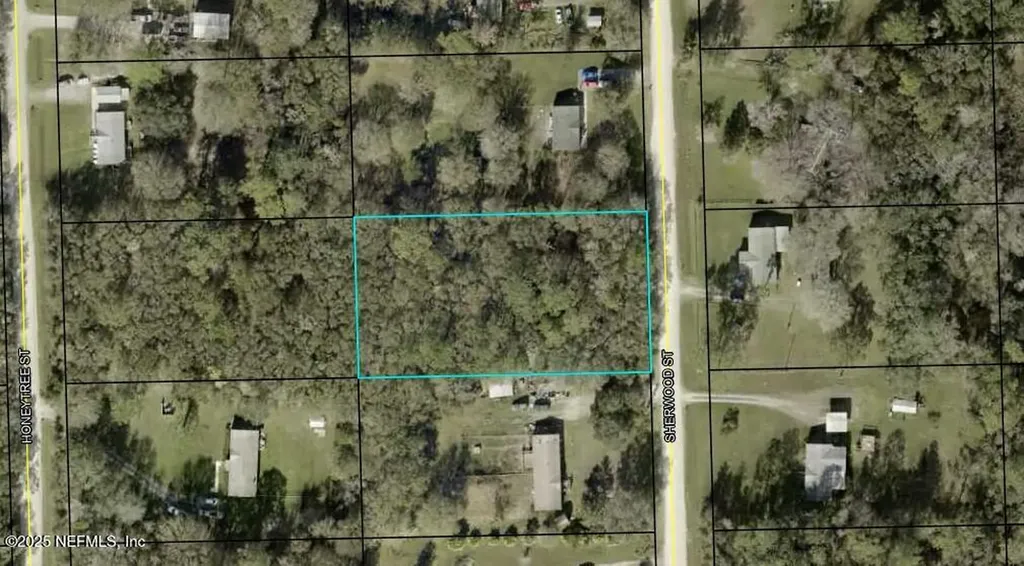 1166 Sherwood Street Bunnell FL 32110