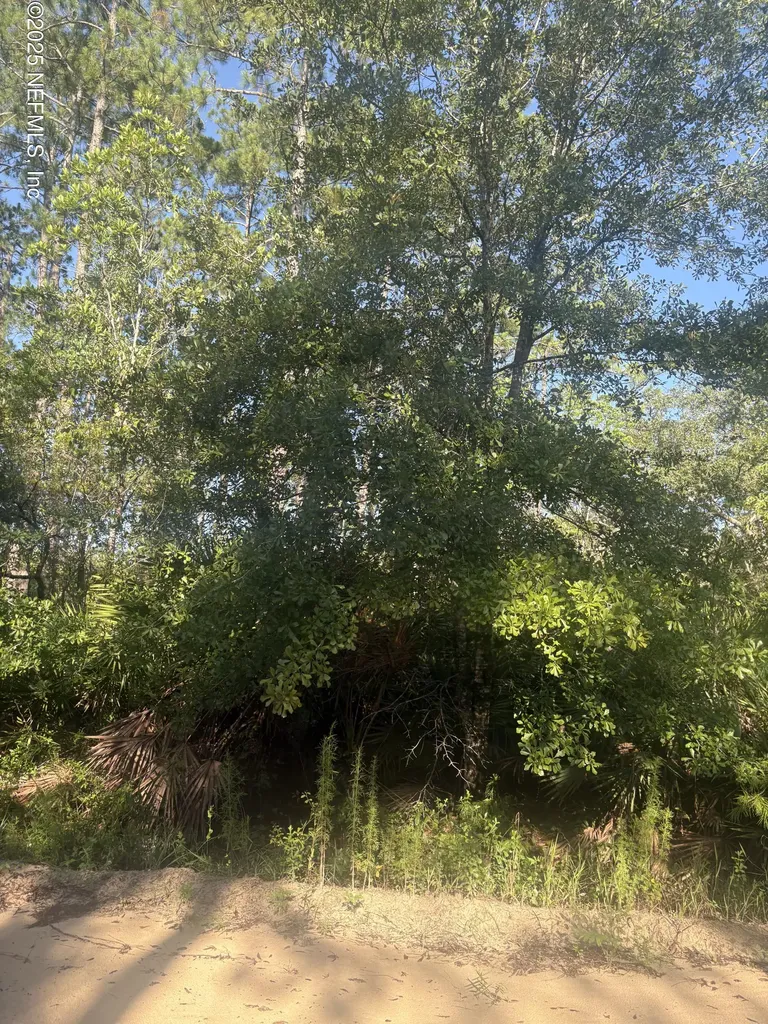 115 Houston Street Interlachen FL 32148