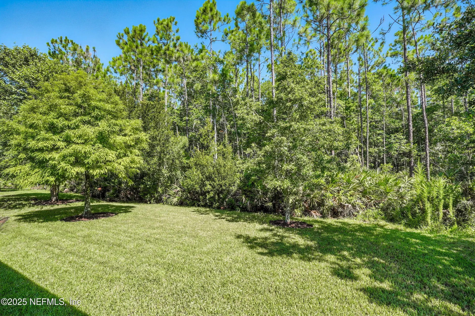 300 Shadow Ridge Trail Ponte Vedra FL 32081