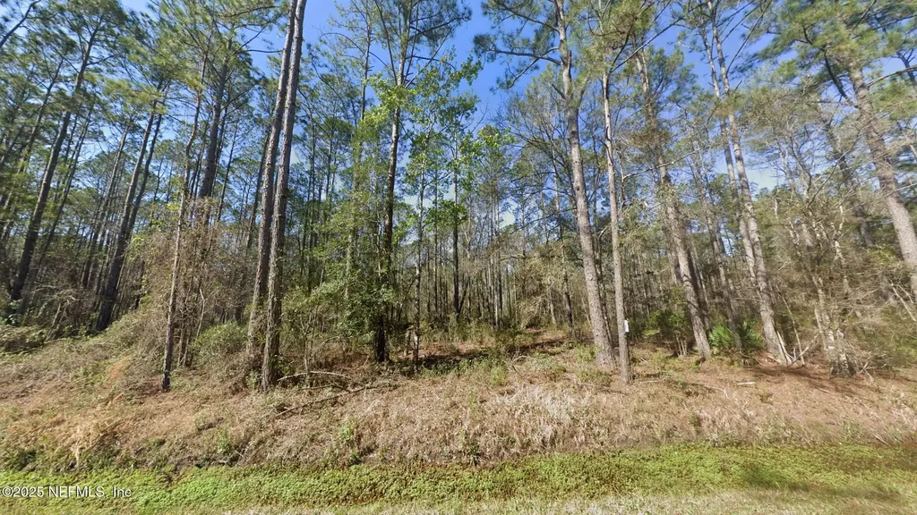 10675 Delgado Avenue Hastings FL 32145