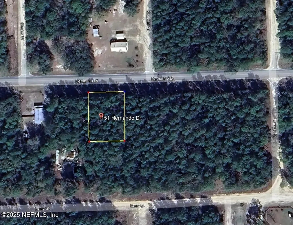 151 Hernando Drive Florahome FL 32140