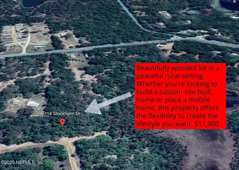 114 Stockholm Drive Interlachen FL 32148