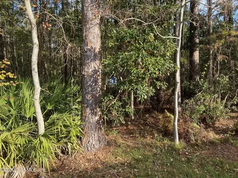 7751 Fawn Lake Drive S Jacksonville FL 32256