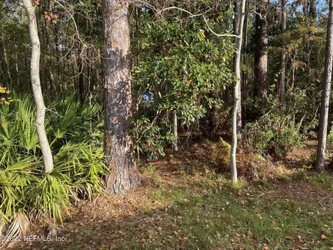 7751 Fawn Lake Drive S Jacksonville FL 32256