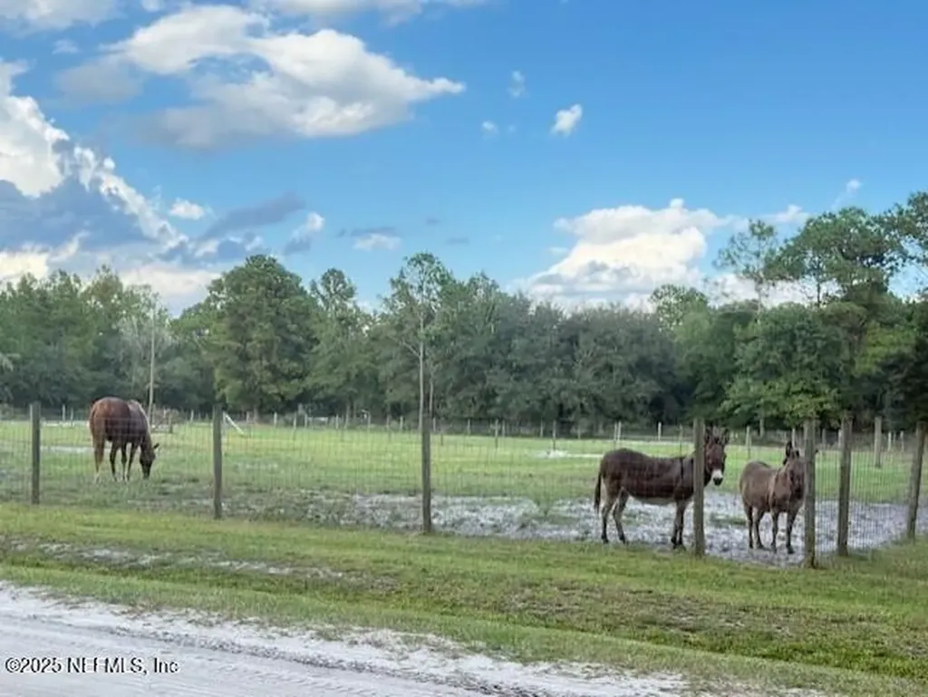 4334 Lori Loop Road Keystone Heights FL 32656
