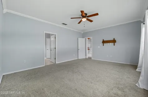 951 Misty Maple Court Orange Park FL 32065