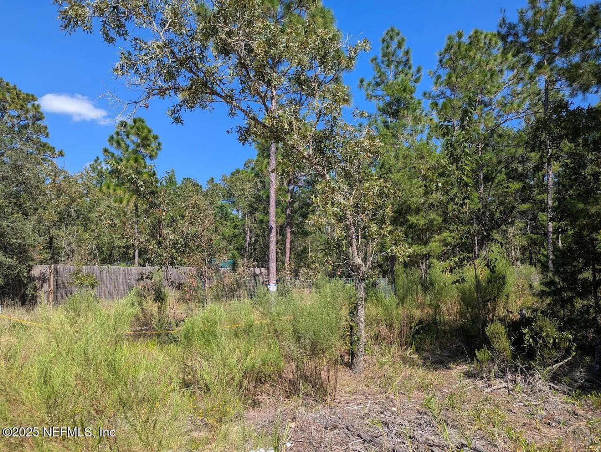 442 Akron Street Interlachen FL 32148