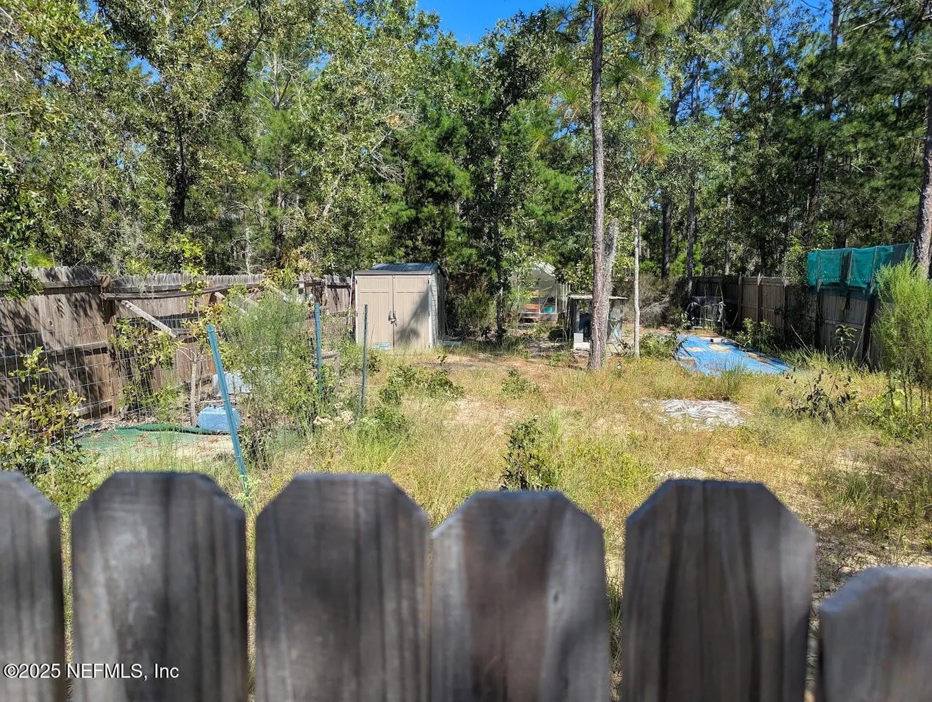 442 Akron Street Interlachen FL 32148