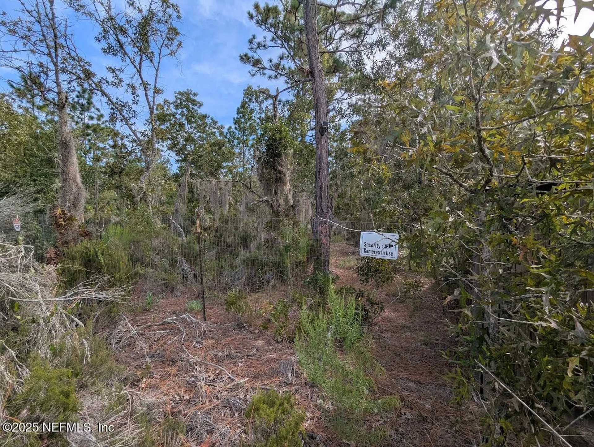 442 Akron Street Interlachen FL 32148