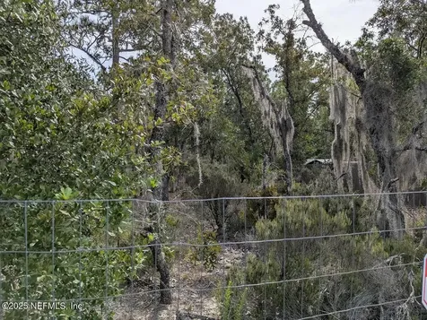 442 Akron Street Interlachen FL 32148