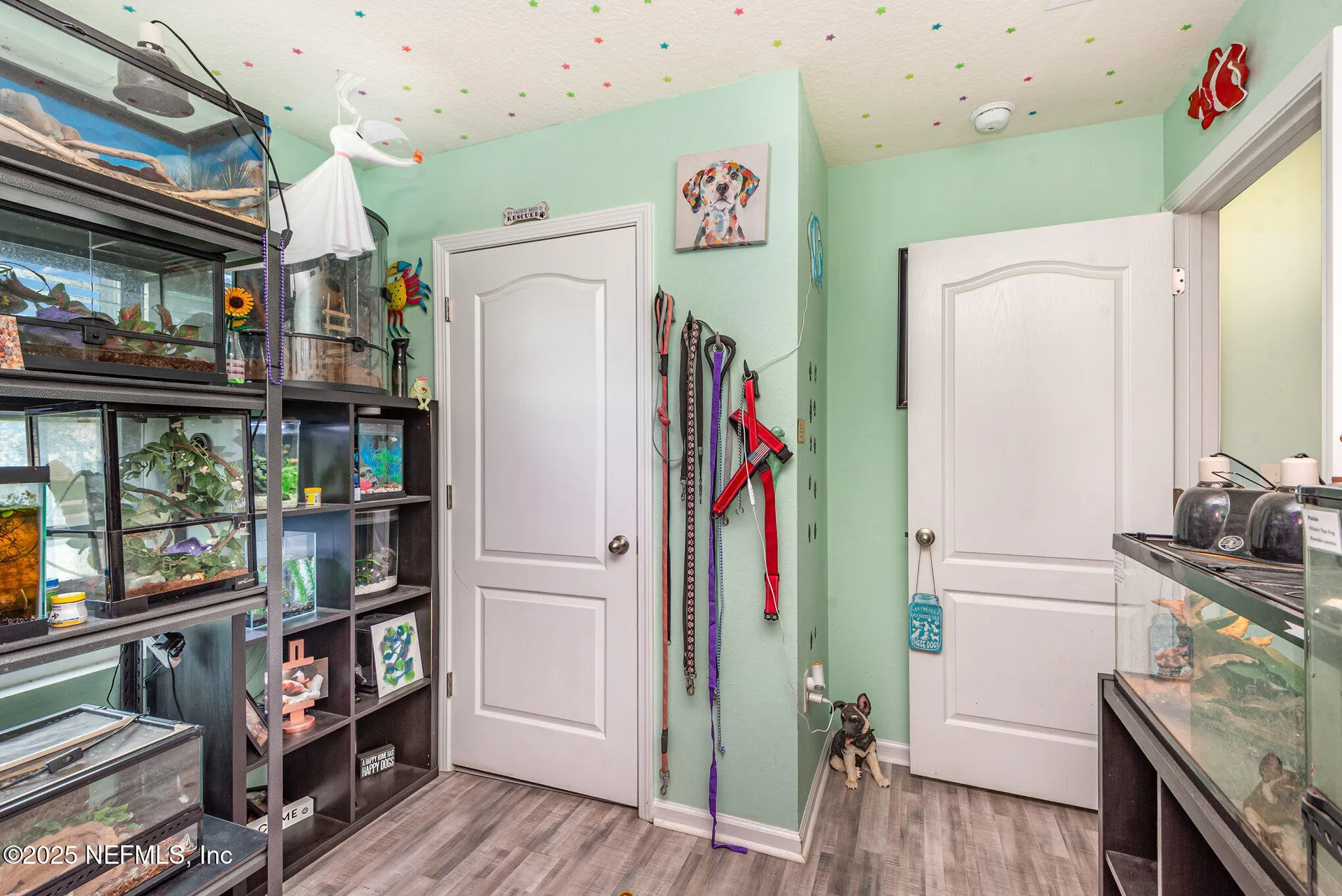 2267 Pebble Point Drive Green Cove Springs FL 32043