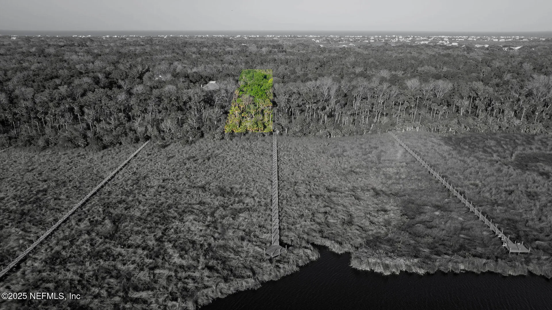 89 Bridle Ridge Court Flagler Beach FL 32137