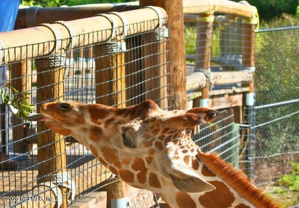 3013 Bella Collina Way Green Cove Springs FL 32043