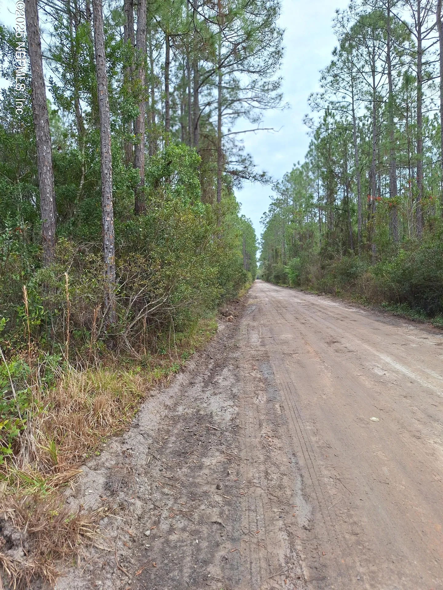 0 E San Jose Palatka FL 32177