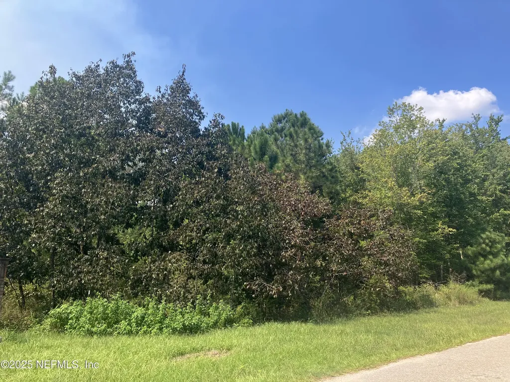 0 County Road 217 Middleburg FL 32234