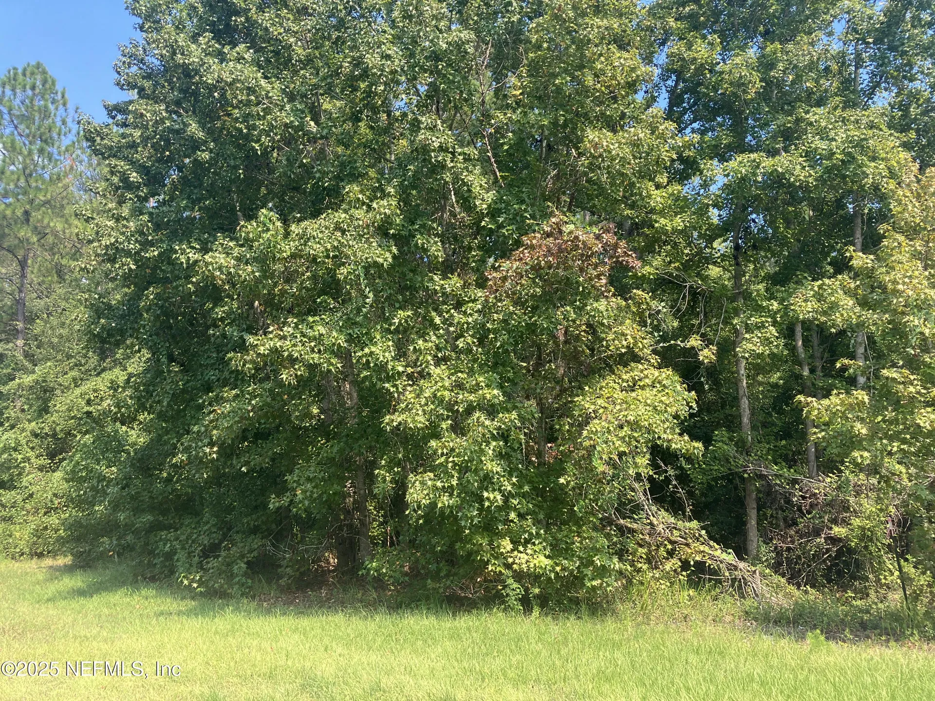 0 County Road 217 Middleburg FL 32234