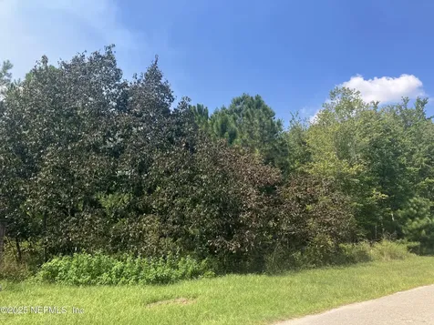 0 County Road 217 Middleburg FL 32234