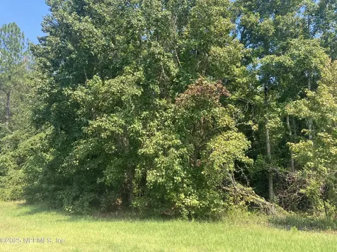 0 County Road 217 Middleburg FL 32234