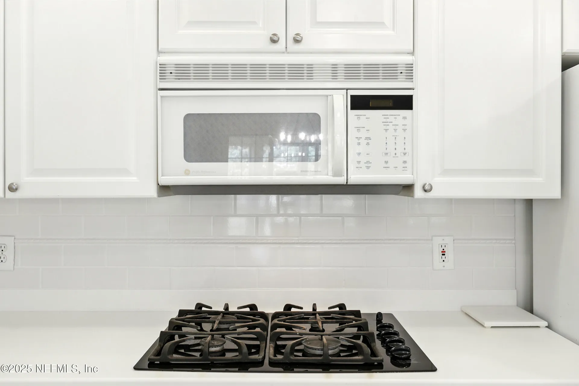 355 N Shore Circle St. Augustine FL 32092
