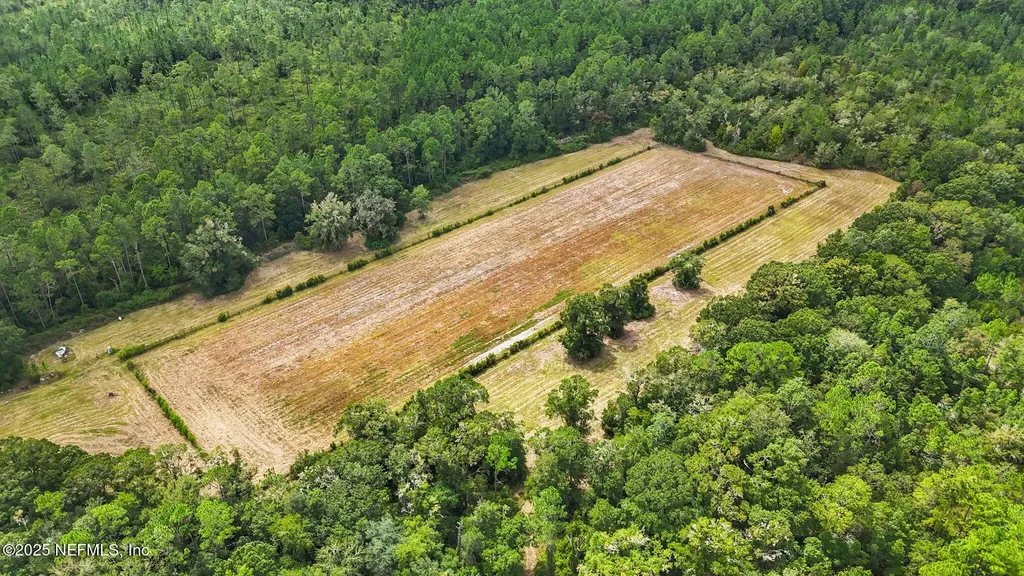 2064 Louie Carter Road Maxville FL 32234