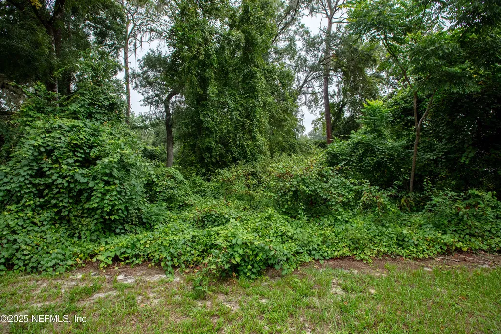 0 SE 28th Way Melrose FL 32666