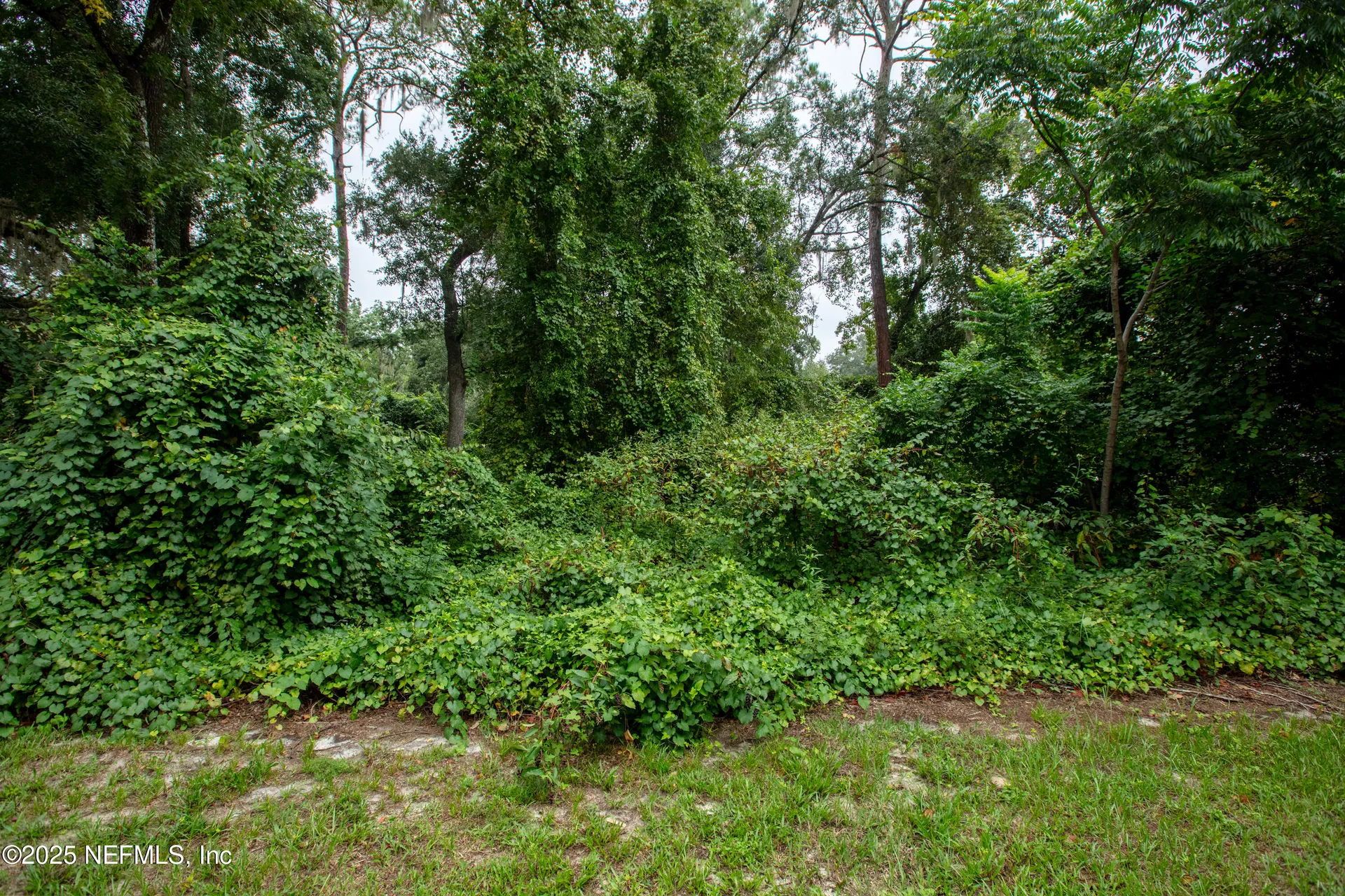 0 SE 28th Way Melrose FL 32666