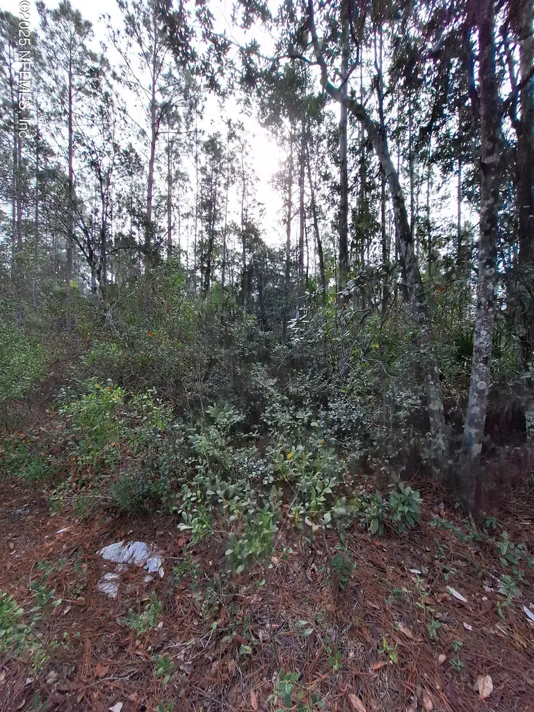 000 E Street Johns Street Palatka FL 32177