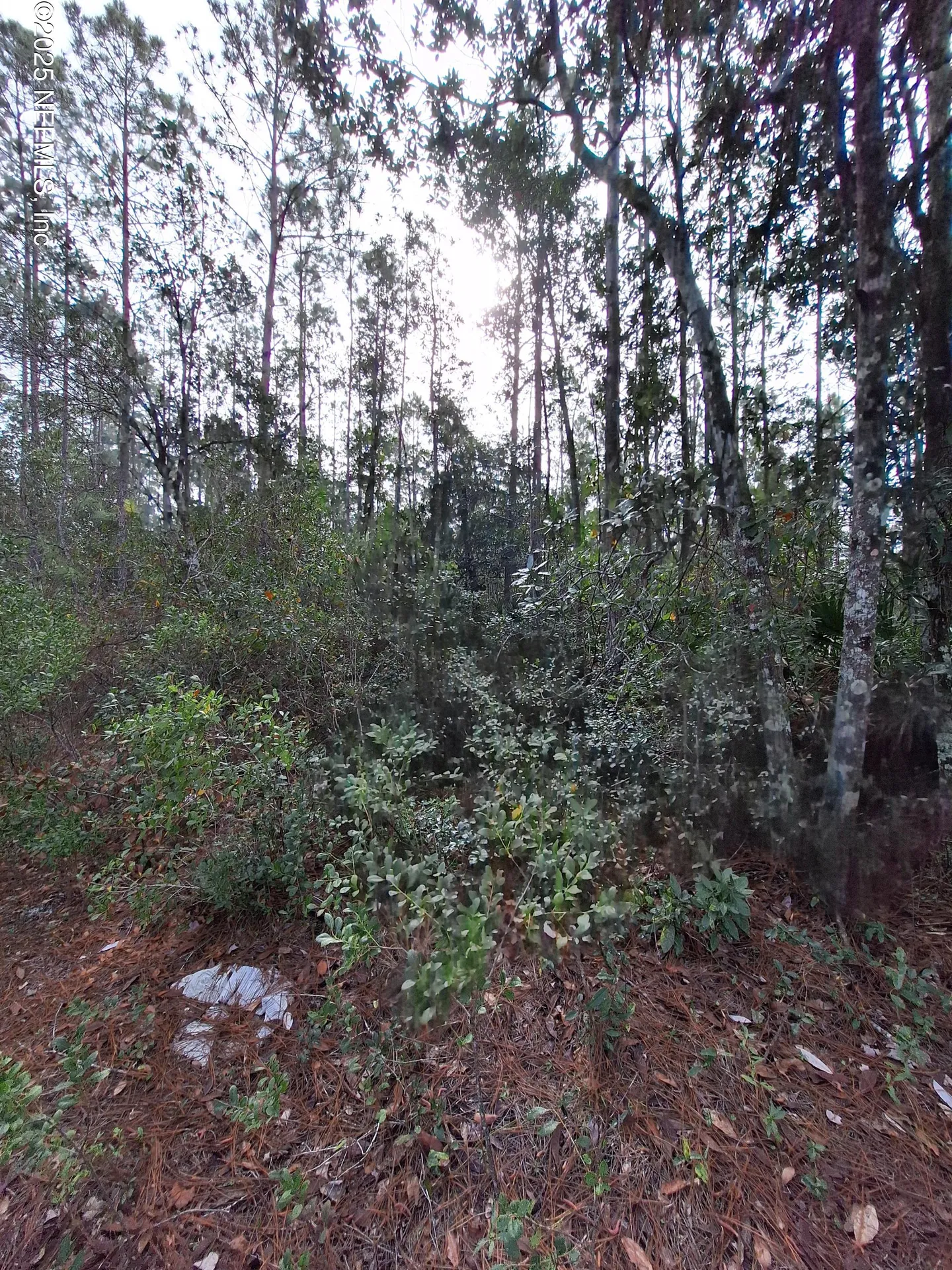 000 E Street Johns Street Palatka FL 32177