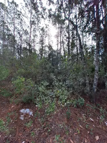 000 E Street Johns Street Palatka FL 32177