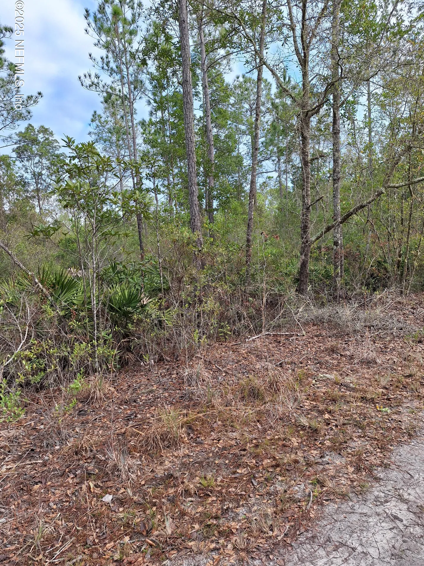00 E Street Johns State Road Palatka FL 32177