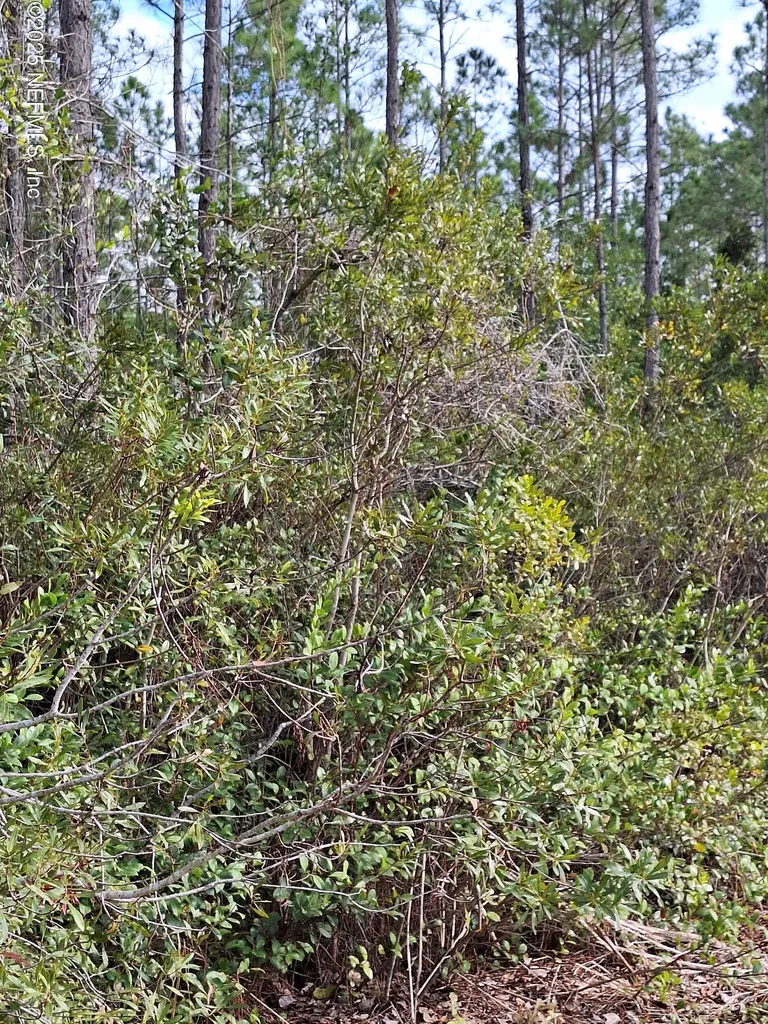 0 E Escambia State Road Palatka FL 32177