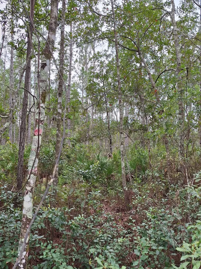 0 E Don Quixote Street Palatka FL 32177