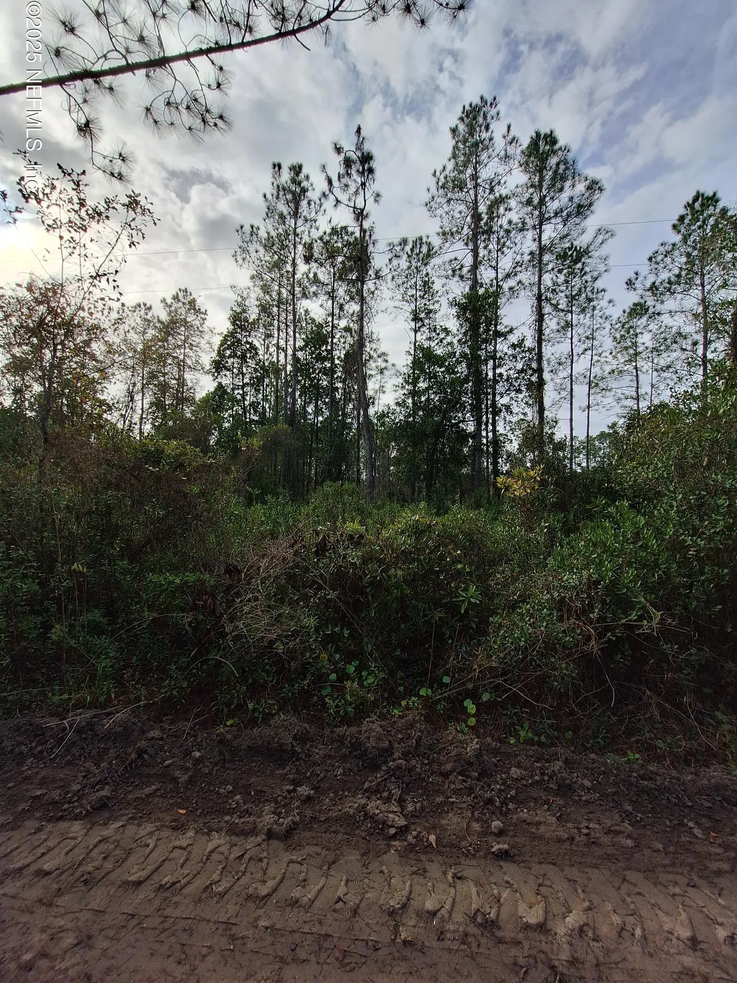 0 E Street Johns Street Palatka FL 32177