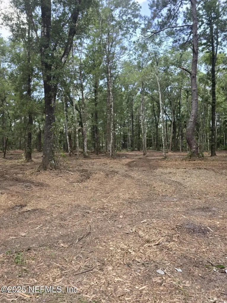 10435 E Deep Creek Boulevard Hastings FL 32145