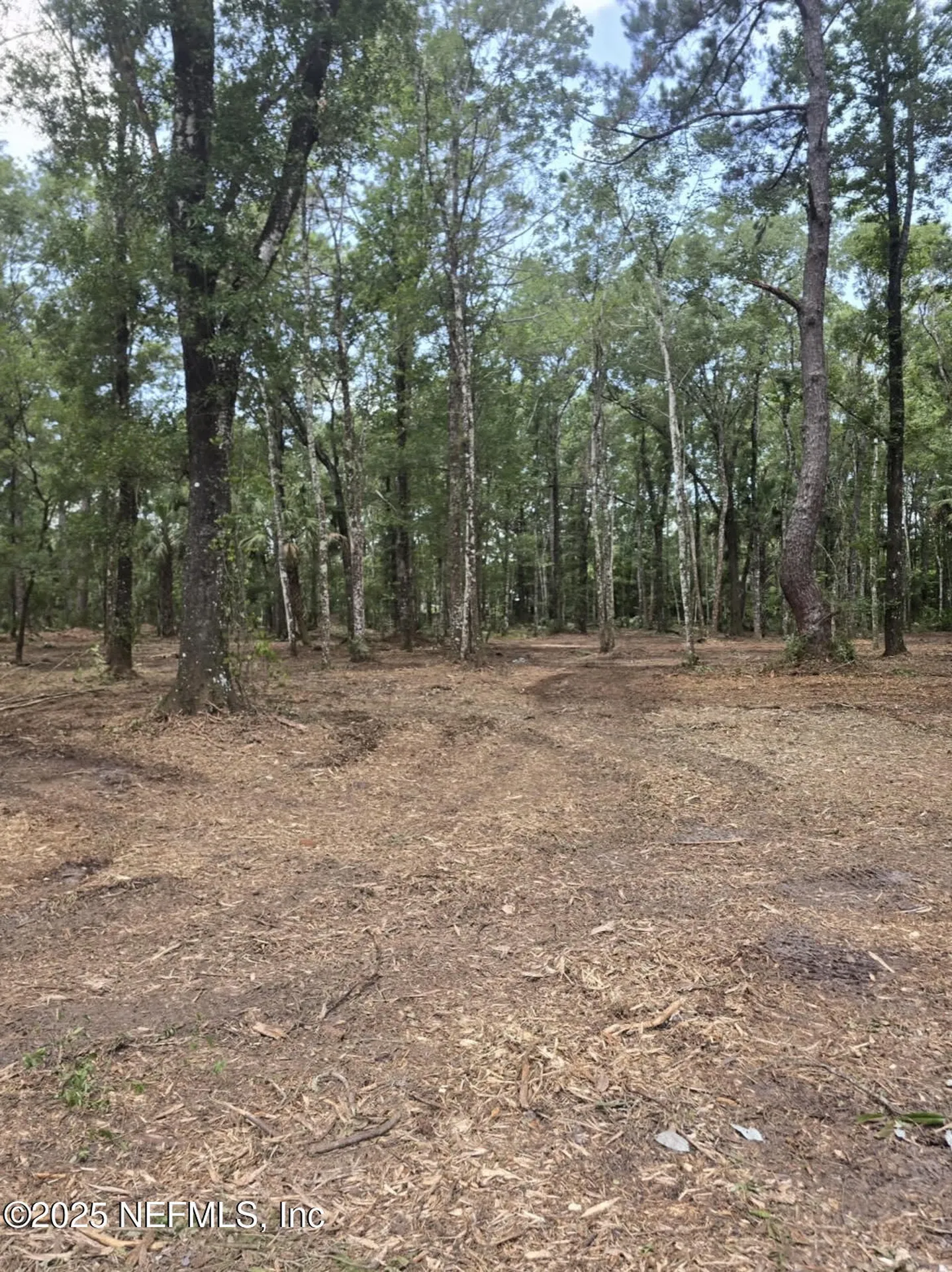 10435 E Deep Creek Boulevard Hastings FL 32145