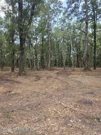 10435 E Deep Creek Boulevard Hastings FL 32145
