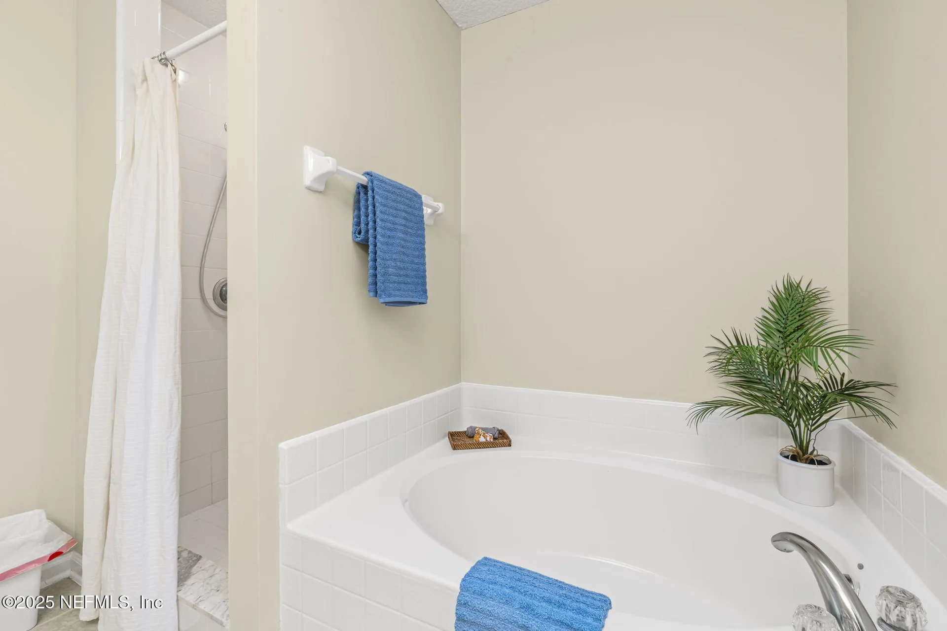 2734 Royal Pointe Drive Green Cove Springs FL 32043