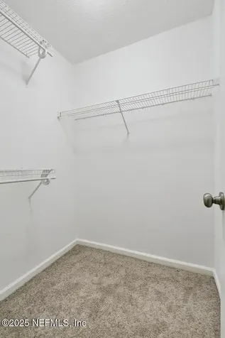 1416 Dog Fennel Court Orange Park FL 32073