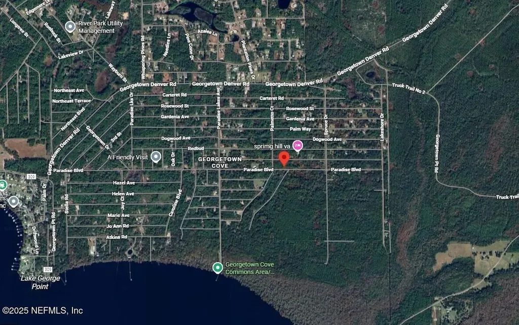 806 Paradise Boulevard Georgetown FL 32139