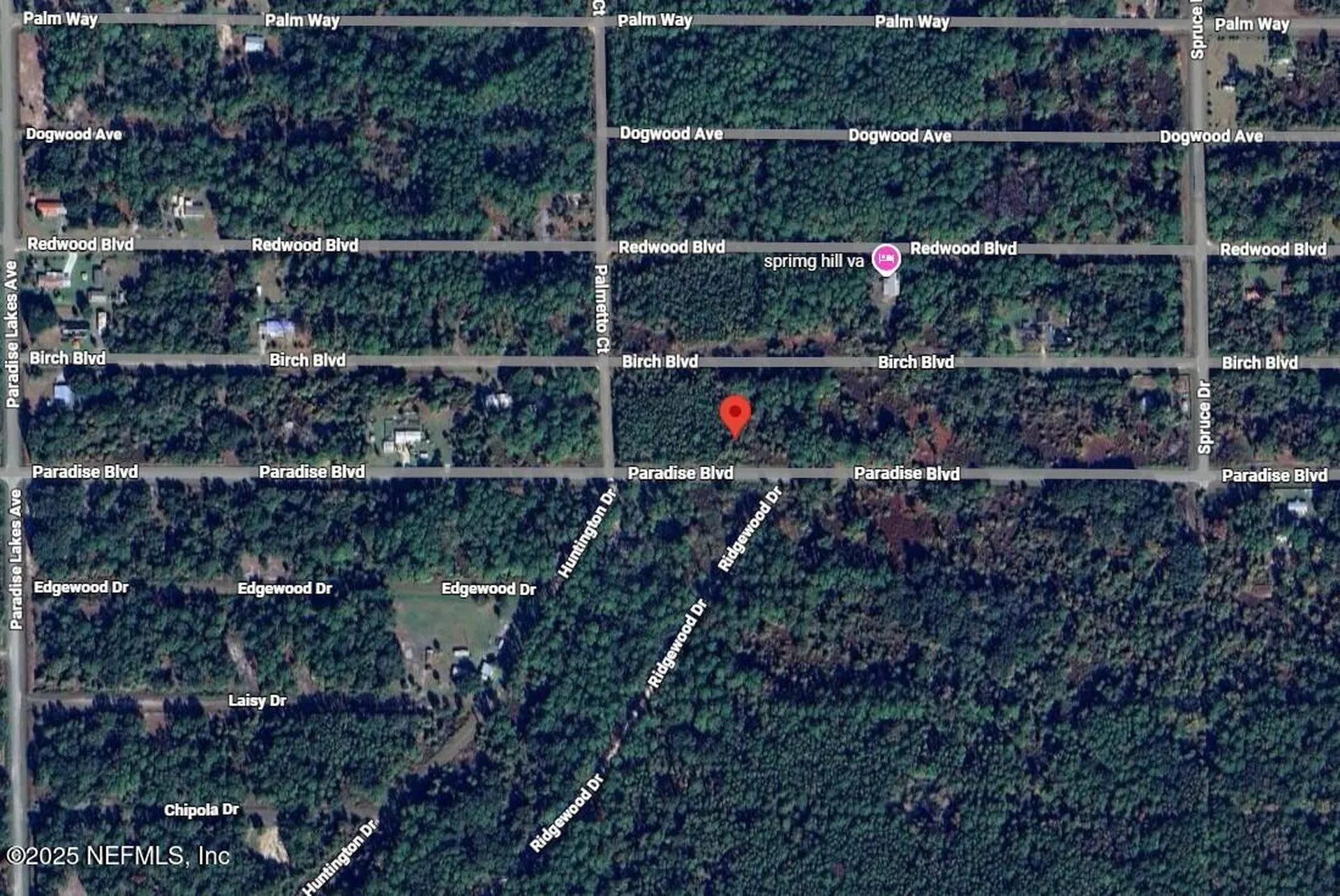 806 Paradise Boulevard Georgetown FL 32139