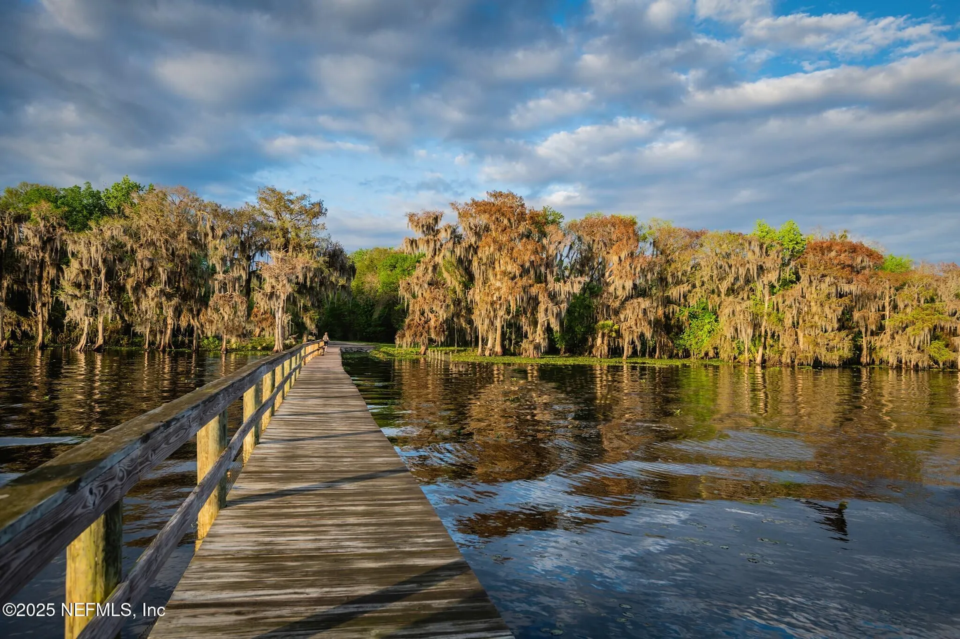 806 Paradise Boulevard Georgetown FL 32139
