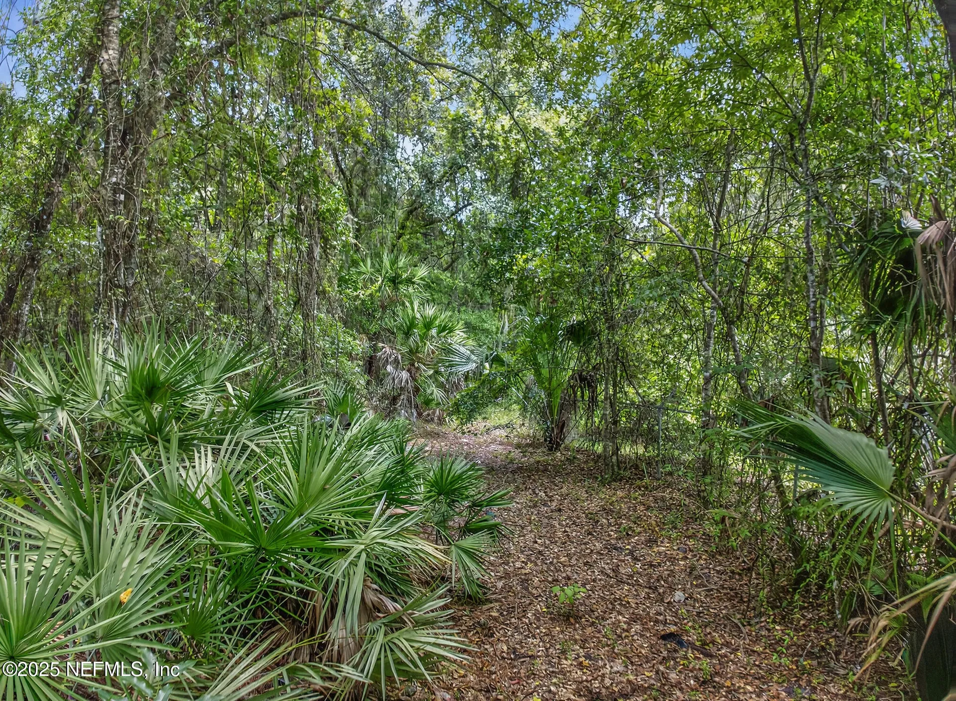 933 John Street St. Augustine FL 32084